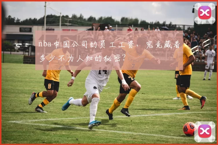 nba中国公司的员工工资，究竟藏着多少不为人知的秘密？
