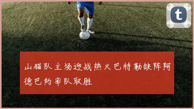 山猫队主场迎战热火巴特勒缺阵阿德巴约率队取胜