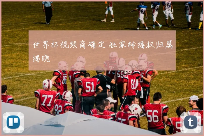 世界杯视频商确定 独家转播权归属揭晓