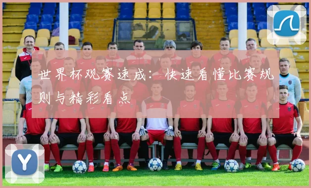 世界杯观赛速成：快速看懂比赛规则与精彩看点